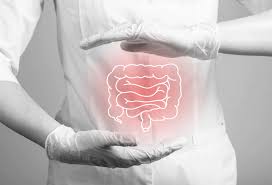 Jenis-Jenis Enzim Pencernaan Manusia dan Fungsinya