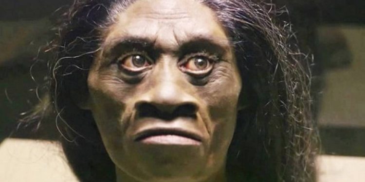 Jenis-Jenis Manusia Purba yang Ditemukan di Indonesia