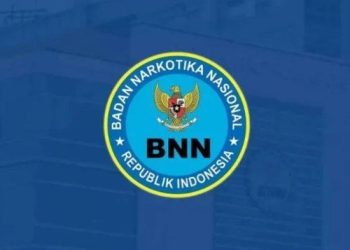 Lowongan Kerja BNN: Syarat dan Ketentuan