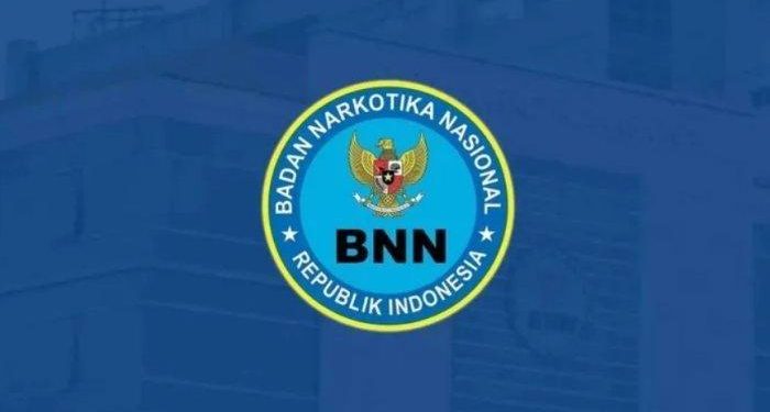 Lowongan Kerja BNN: Syarat dan Ketentuan