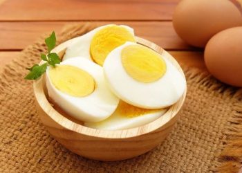 Manfaat Sarapan Telur Rebus Setiap Hari untuk Kesehatan