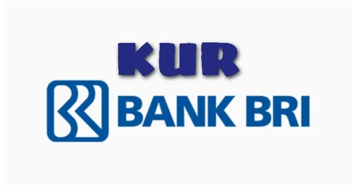 Syarat, Besaran Nominal, dan Cara Mengajukan KUR BRI 2024