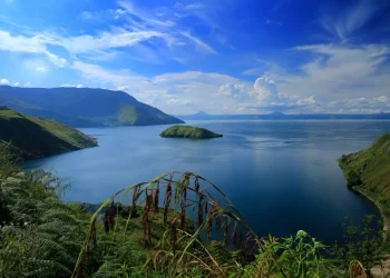 Apa Itu Biosfer? Berikut Makna dan Penjelasan Rincinya