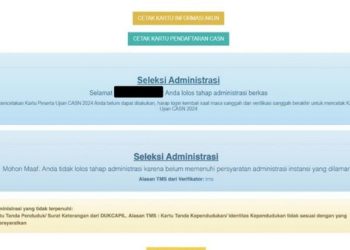 Cara Cek dan Link Hasil Seleksi Administrasi CPNS 2024