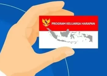 Cara Daftar Bantuan Sosial PKH Penyandang Disabilitas 2024