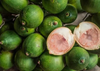 Khasiat Jus Buah Pinang Bagi Kesehatan