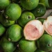 Khasiat Jus Buah Pinang Bagi Kesehatan