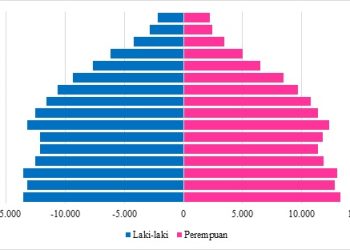 Pengertian Piramida Penduduk: Jenis dan Karakteristiknya