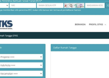 Cara Cek Status DTKS untuk Dapatkan Bantuan dari Pemerintah