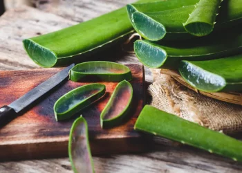 Manfaat Lidah Buaya untuk Kecantikkan dan Efek Sampingnya