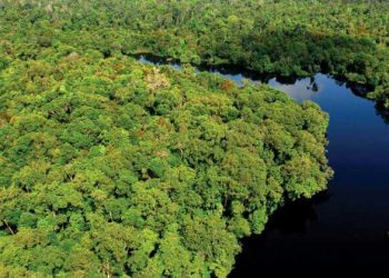 Pengertian Biosfer, Komponen dan Contohnya