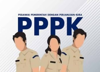Rincian Gaji PPPK Beserta Tunjangan yang Diberikan Tahun 2024