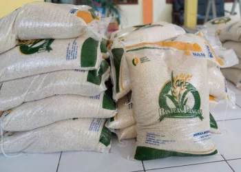 Terbaru! Bantuan Beras Akan Disalurkan Bulan Ini, Simak Cara Klaimnya