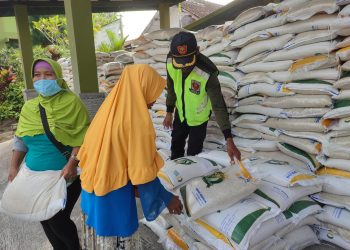 Apakah Bansos Beras 10 Kg Masih Disalurkan di November 2024? Cek Informasinya Disini