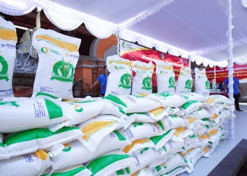 Bansos Beras 10 Kg Segera Disalurkan Kembali November 2024, Cek Jadwalnya Disini
