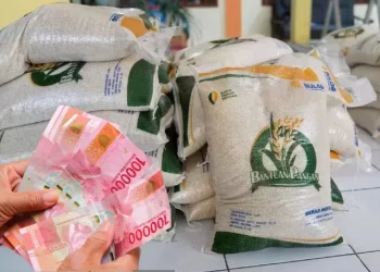 Bansos Beras 10 Kg Disalurkan Desember 2024, Cek Segera Daftar Penerimanya