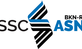 Cara Cek Kelulusan PPPK Gelombang 1 di SSCASN.BKN.GO.ID