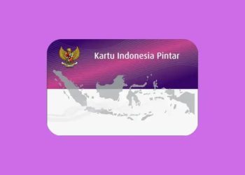 Cara Mudah Cek Bansos PIP Melalui HP