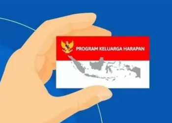 Cek Kategori dan Status Penerima Bansos PKH Desember 2024 Sekarang, Dana Bansos Rp.750.000 Siap Cair untuk Ibu Hamil dan Anak Usia Dini