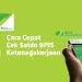 Cara Cek Saldo BPJS Ketenagakerjaan 2025 Menggunakan NIK