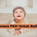 Cek Jadwal Bansos PKH Balita Januari 2025