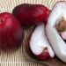 Kandungan Nutrisi dan Manfaat Jambu Jamaika untuk Kesehatan Tubuh