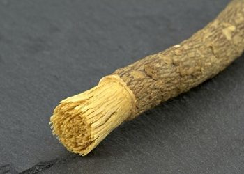 Khasiat dan Kandungan Siwak bagi Kesehatan Mulut