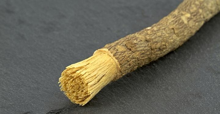 Khasiat dan Kandungan Siwak bagi Kesehatan Mulut