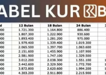 KUR BRI 2025: Berikut Syarat dan Ketentuan Pengajuan dengan Mudah