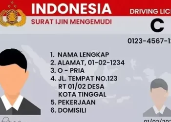 Mudah! Berikut Cara Perpanjang SIM 2025