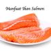 Kandungan Gizi Ikan Salmon