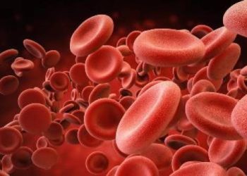 Apa Itu Trombosit? Berikut Pengertian dan Fungsinya!