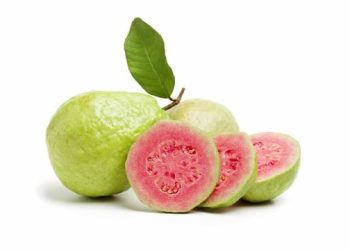 Jambu Biji Merah: Si Buah Super yang Kaya Manfaat untuk Kesehatan