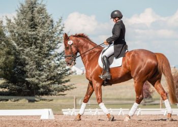 Manfaat Berkuda untuk Kesehatan Fisik dan Mental