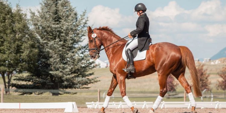 Manfaat Berkuda untuk Kesehatan Fisik dan Mental
