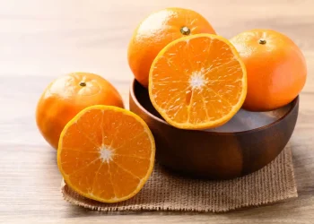 Manfaat Buah Jeruk untuk Kesehatan Tubuh: Segar, Lezat, dan Penuh Khasiat