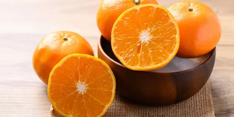 Manfaat Buah Jeruk untuk Kesehatan Tubuh: Segar, Lezat, dan Penuh Khasiat