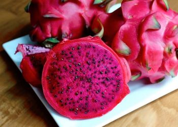 Manfaat Buah Naga bagi Balita: Buah Sehat Penunjang Tumbuh Kembang Si Kecil