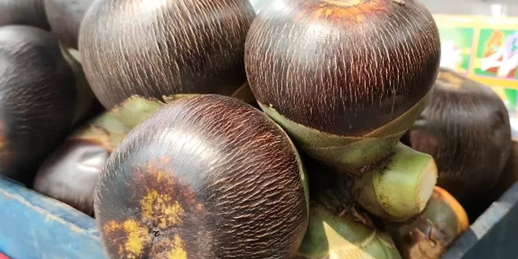 Manfaat Buah Siwalan yang Jarang Diketahui oleh Banyak Orang