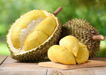 Manfaat Durian Bagi Tubuh