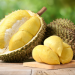 Manfaat Durian Bagi Tubuh