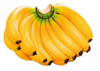 Manfaat Pisang: Buah Praktis Kaya Nutrisi untuk Kesehatan Tubuh