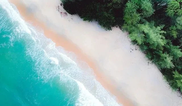 Memahami Ekosistem Pantai: Dinamika, Manfaat, dan Pentingnya Pelestarian