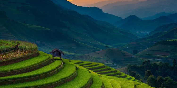 Memahami Konsep Ekosistem Buatan dan Perannya dalam Pelestarian Lingkungan