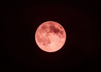 Mengenal Strawberry Moon: Bulan Purnama di Musim Panen Stroberi