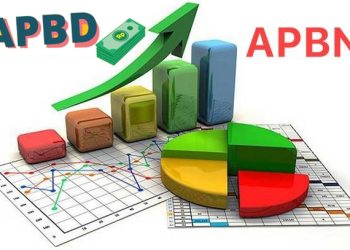 Apa Itu APBN dan APBD : Fungsi dan Sumber Pendapatannya