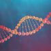 Apa Itu DNA? Berikut Pengertian dan Strukturnya!