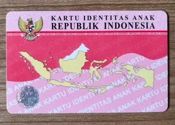 Apa Itu KTP Pink? Ini Fungsi, Syarat hingga Bedanya dengan KTP Biru