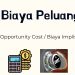 Biaya Peluang: Pengertian dan Contohnya