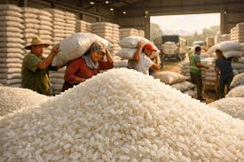 Apa Itu Bantuan Sosial Pangan, Berikut Tujuan dan Perannya dalam Memperkuat Ketahanan Pangan Nasional